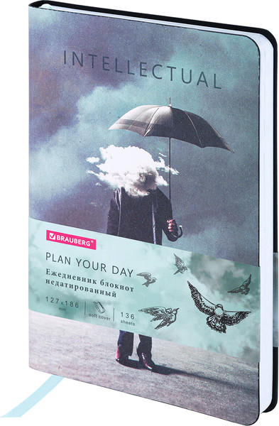 Изображение товара Ежедневник Brauberg Vista. Spirit / 112117 (136л)