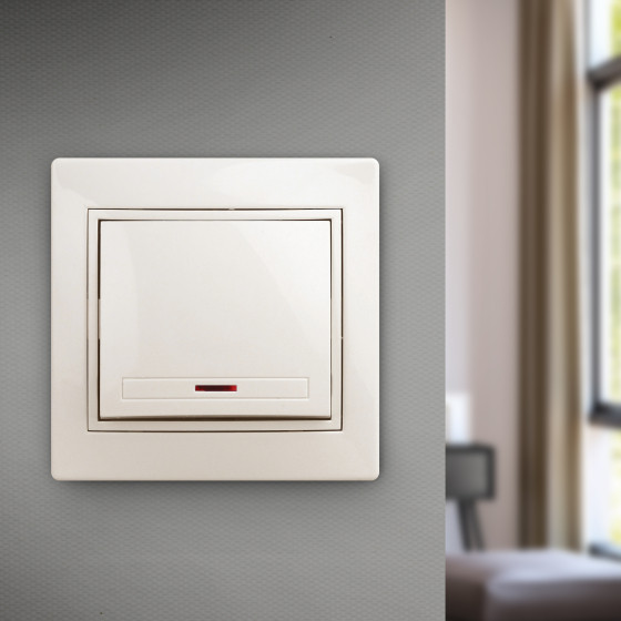 Изображение товара Выключатель INTRO Plano 1-102-02 / Б0053730 (слоновая кость)