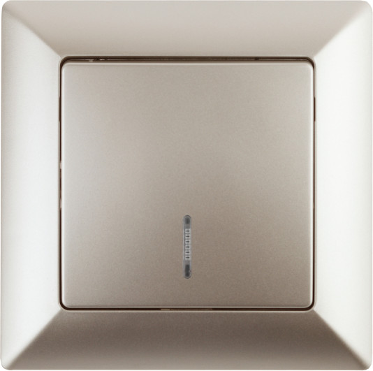 Изображение товара Выключатель INTRO Solo 4-102-04 / Б0053563 (шампань)