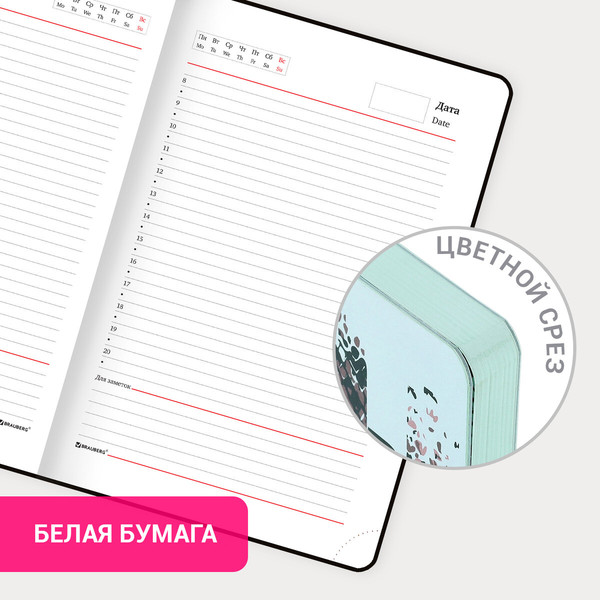 Изображение товара Ежедневник Brauberg Vista. Shed Your Skin / 112035 (136л)
