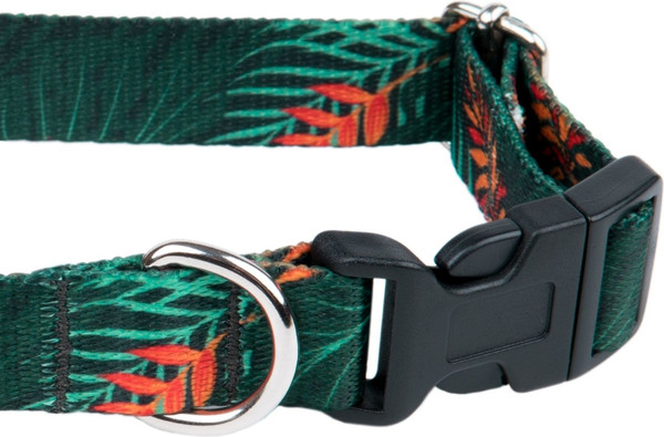 Изображение товара Ошейник Ami Play Регулируемый (XL, Jungle)