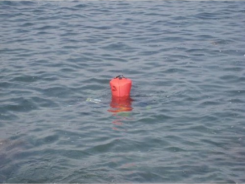 Изображение товара Подъемный мешок для дайвинга IST Sports LB-100/Q