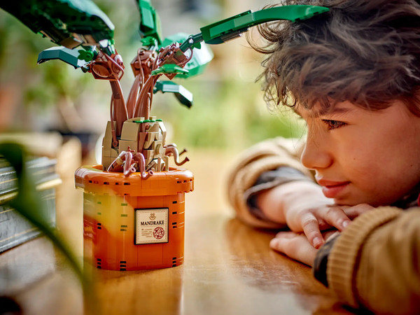 Изображение товара Конструктор Lego Harry Potter Мандрагора 76433