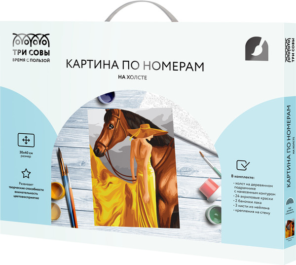 Изображение товара Картина по номерам Три совы Леди в желтом платье / КХ3040_53840