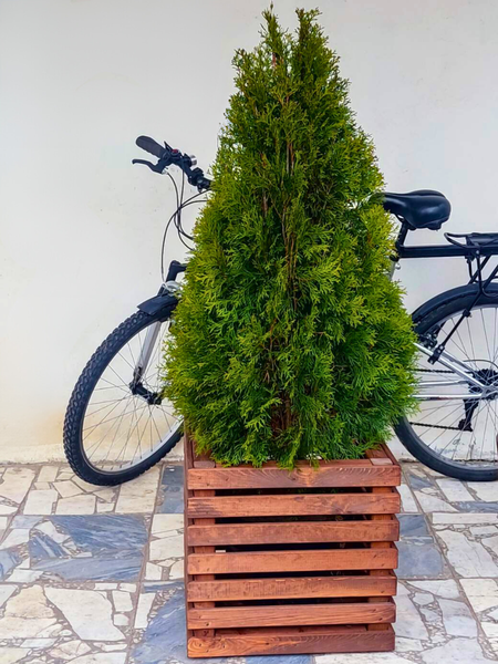 Изображение товара Кашпо Четыре Солнца Кубик (коричневый)