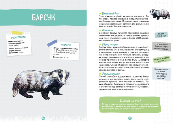 Изображение товара Энциклопедия Махаон Лесные животные, мягкая обложка (Жапьо Ксавье)
