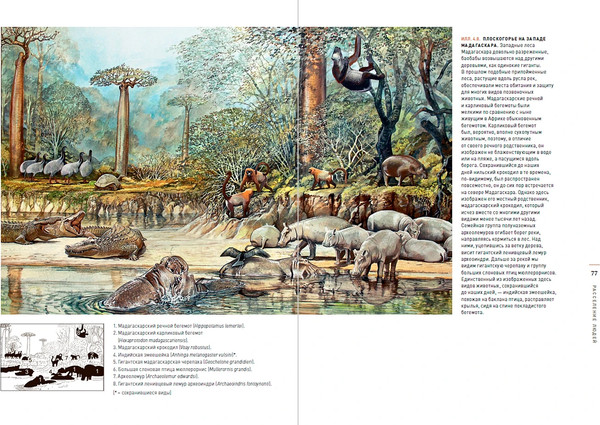 Изображение товара Книга Альпина Конец мегафауны, твердая обложка (Макфи Росс)