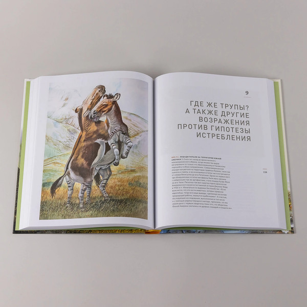 Изображение товара Книга Альпина Конец мегафауны, твердая обложка (Макфи Росс)