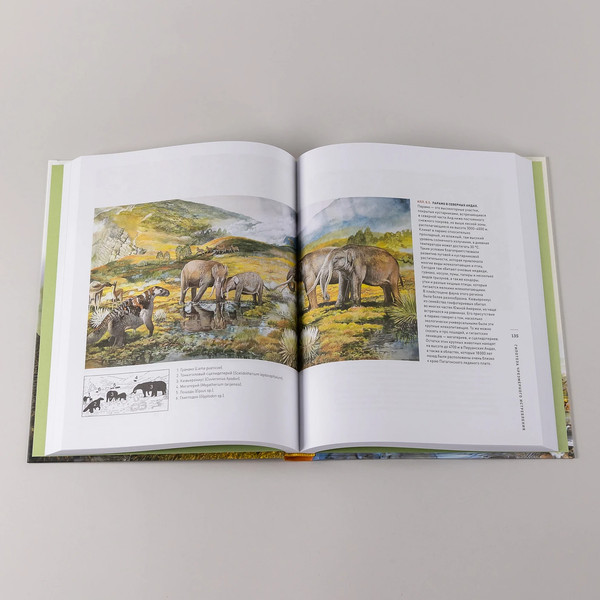 Изображение товара Книга Альпина Конец мегафауны, твердая обложка (Макфи Росс)