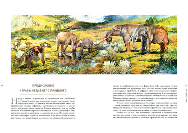 Изображение товара Книга Альпина Конец мегафауны, твердая обложка (Макфи Росс)