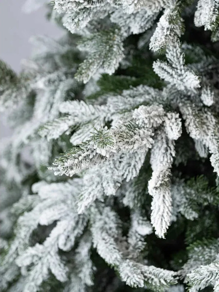 Изображение товара Ель искусственная National Tree Company Рождественская Премиум заснеженная РД/ПР/ЗСН-240 (240см)