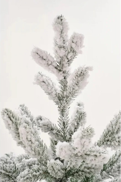 Изображение товара Ель искусственная National Tree Company Рождественская Премиум заснеженная РД/ПР/ЗСН-240 (240см)