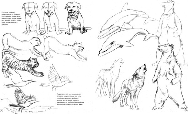 Изображение товара Нехудожественная книга Махаон Рисунок. Простые уроки для начинающих, мягкая обложка (Дзяловски Жан)