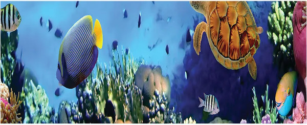 Изображение товара Шторка под ванну JoyArty 60x150 / bt_2611