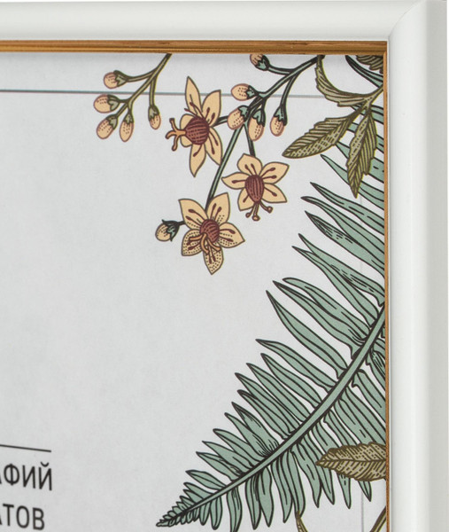 Изображение товара Рамка Attache 21x30 / 1173997 (белый/золото)
