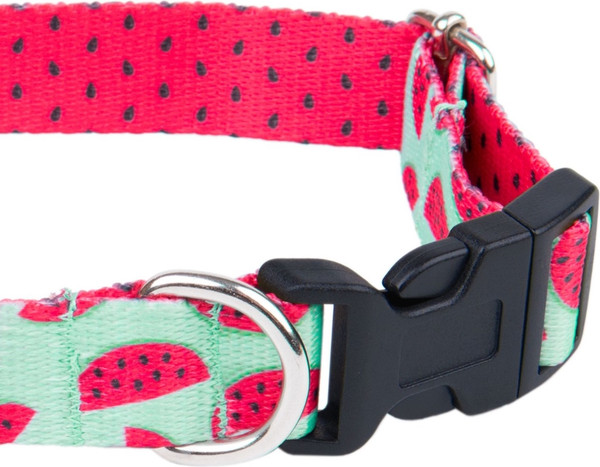 Изображение товара Ошейник Ami Play Регулируемый (S, Watermelon)