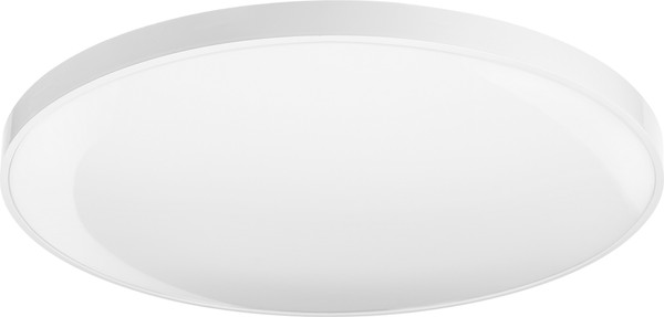 Изображение товара Потолочный светильник Sundays Home 240924-12 / 5757 (белый)