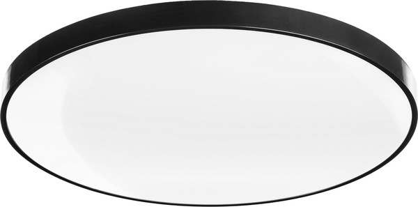 Изображение товара Потолочный светильник Sundays Home 240924-15 / 5788 (черный)