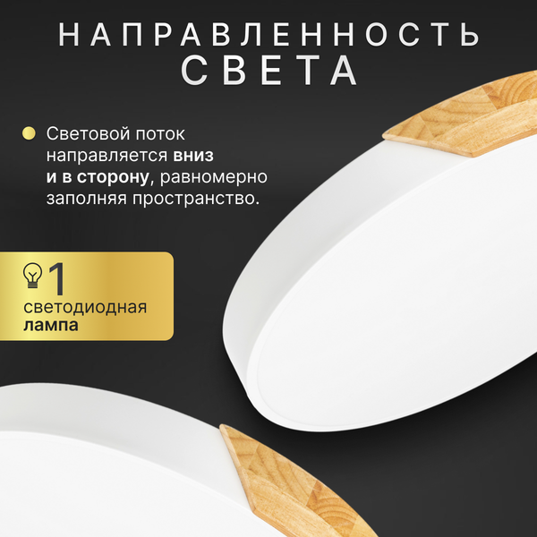 Изображение товара Потолочный светильник Sundays Home 240924-19 / 5825 (белый/светлое дерево)