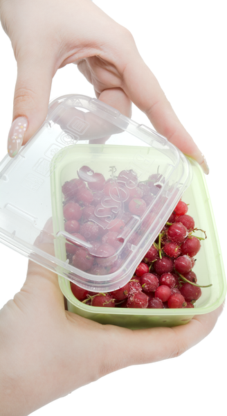 Изображение товара Набор лотков для заморозки Berossi Zip Mini ИК 84543000 (3шт, киви)