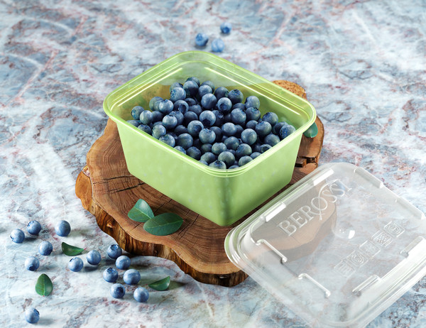 Изображение товара Набор лотков для заморозки Berossi Zip Mini ИК 84543000 (3шт, киви)