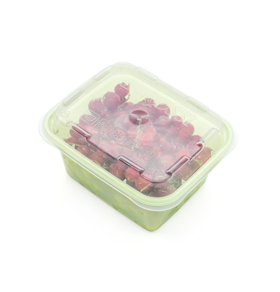 Изображение товара Набор лотков для заморозки Berossi Zip Mini ИК 84543000 (3шт, киви)