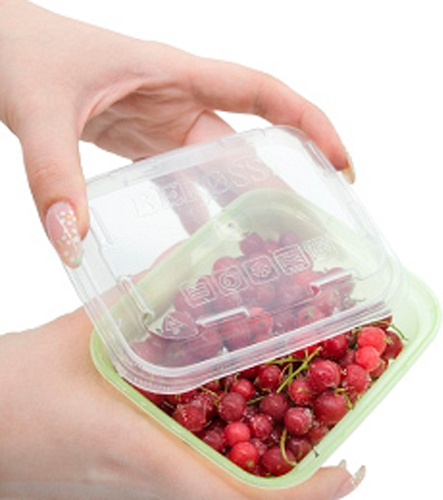 Изображение товара Набор лотков для заморозки Berossi Zip Mini ИК 84543000 (3шт, киви)