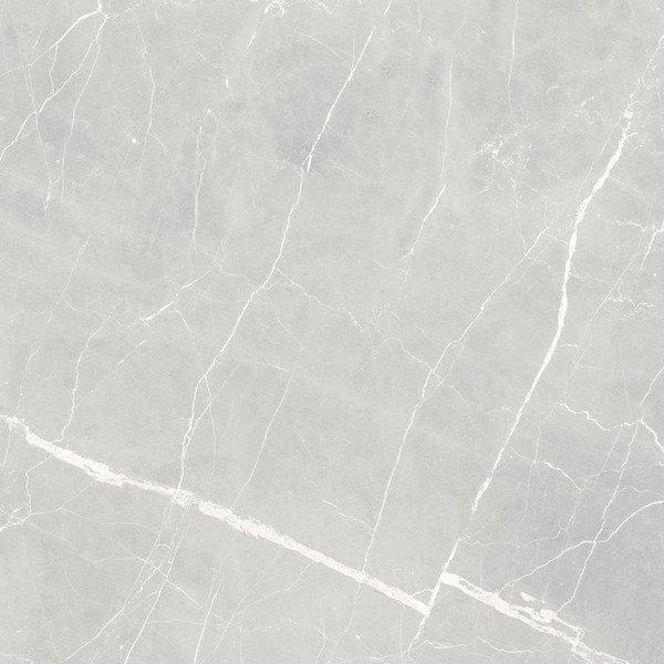 Изображение товара Плитка Euro-Ceramics Грес Кастильо 10GCRGKS0064 (600x600, серый)