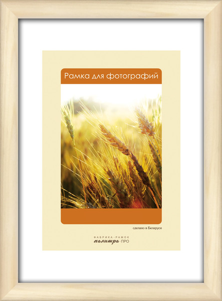 Изображение товара Рамка ПАЛИТРА Д14С 10x15