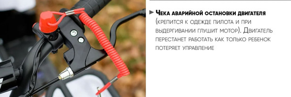 Изображение товара Квадроцикл AVM Grizlik 49 Max (желтый)