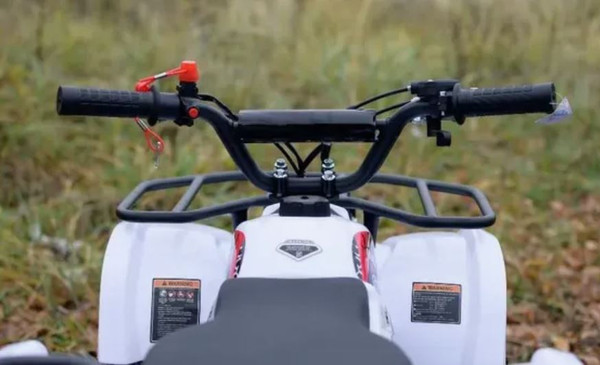 Изображение товара Квадроцикл AVM Grizlik 49 (белый)