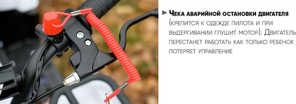 Изображение товара Квадроцикл AVM Grizlik 49 (белый)