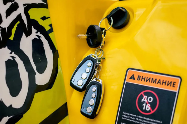 Изображение товара Квадроцикл AVM Hammer 200 (желтый)