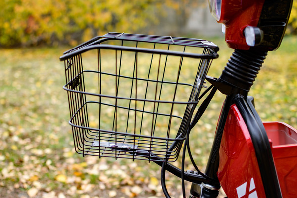 Изображение товара Электровелосипед AVM Delta (красный)