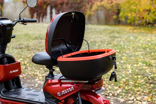 Изображение товара Электровелосипед AVM Delta (красный)