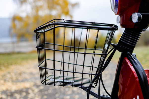 Изображение товара Электровелосипед AVM Delta (красный)