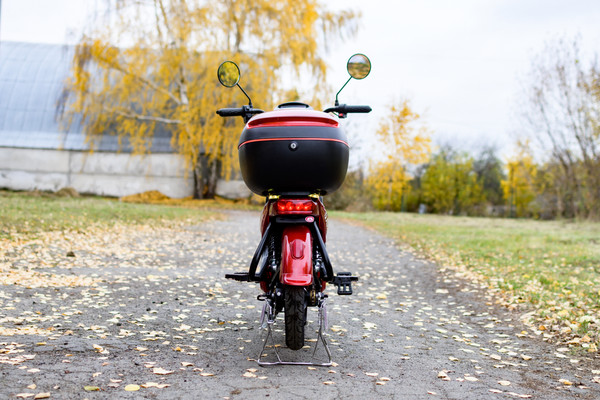 Изображение товара Электровелосипед AVM Delta (красный)