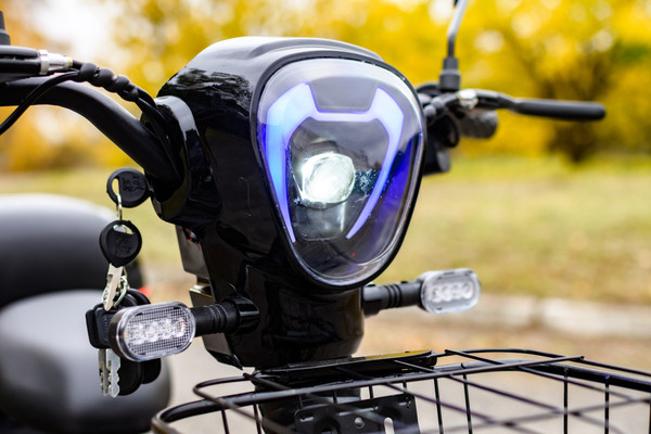 Изображение товара Электровелосипед AVM Delta (черный)