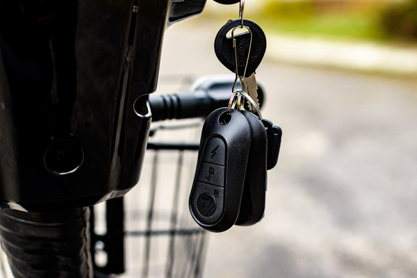 Изображение товара Электровелосипед AVM Delta (черный)