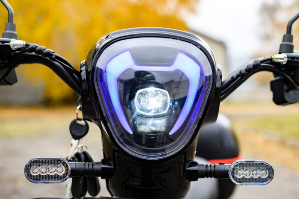 Изображение товара Электровелосипед AVM Delta (черный)