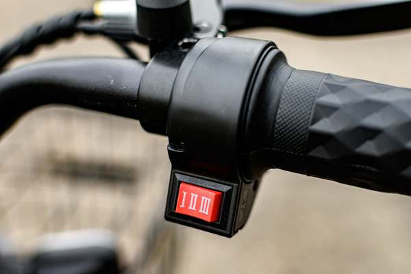 Изображение товара Электровелосипед AVM Delta (черный)