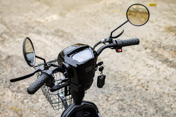 Изображение товара Электровелосипед AVM Delta (черный)