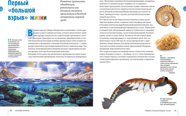 Изображение товара Энциклопедия Махаон Тайны морей и океанов. Большая иллюстрированная энциклопедия (Мило Франческо, твердая обложка)