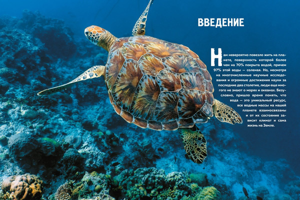 Изображение товара Энциклопедия Махаон Тайны морей и океанов. Большая иллюстрированная энциклопедия (Мило Франческо, твердая обложка)
