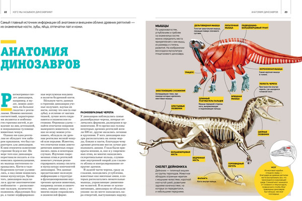 Изображение товара Энциклопедия Махаон Гигантская энциклопедия динозавров, твердая обложка (Чичеро Нурия)
