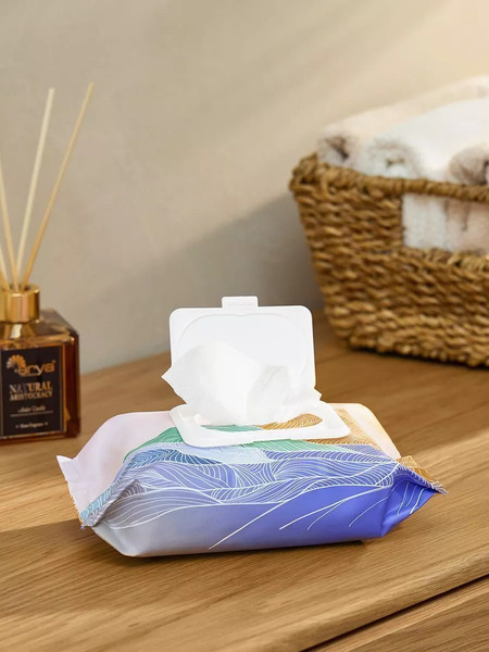 Изображение товара Влажные салфетки Arya Универсальные (80шт)