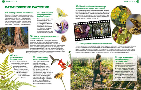 Изображение товара Энциклопедия Махаон Наша планета: загадочные и удивительные факты, твердая обложка