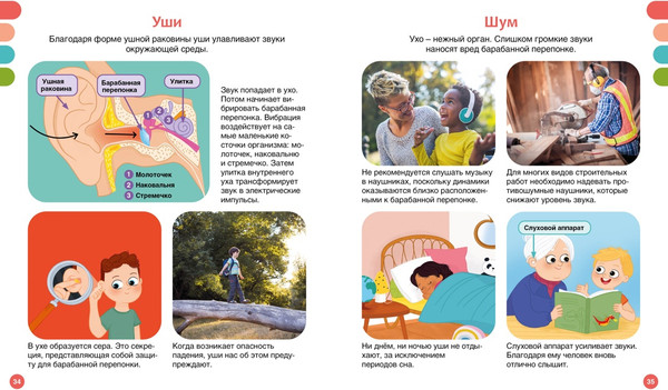 Изображение товара Энциклопедия Махаон Как устроено тело человека, твердая обложка (Симон Филипп)