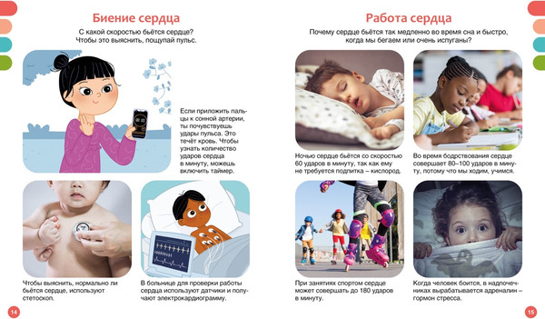 Изображение товара Энциклопедия Махаон Как устроено тело человека, твердая обложка (Симон Филипп)