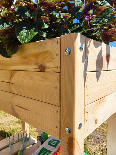 Изображение товара Стол для рассады Четыре Солнца Натуральный